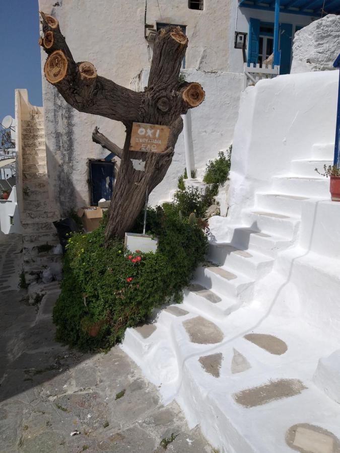 Nikolas Rooms And Appartments Mykonos Town Kültér fotó